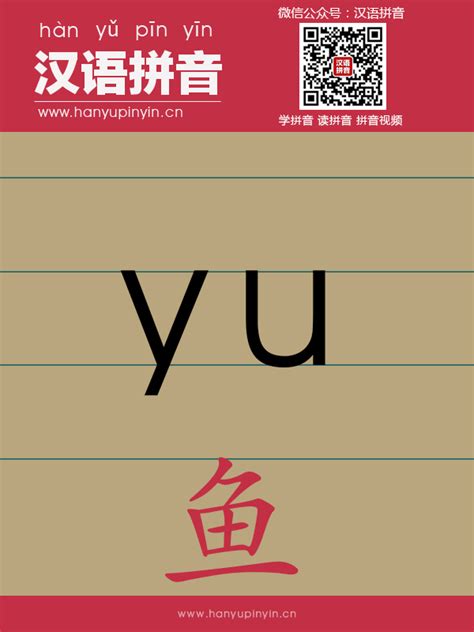 yu第三声的字|拼音yu的字